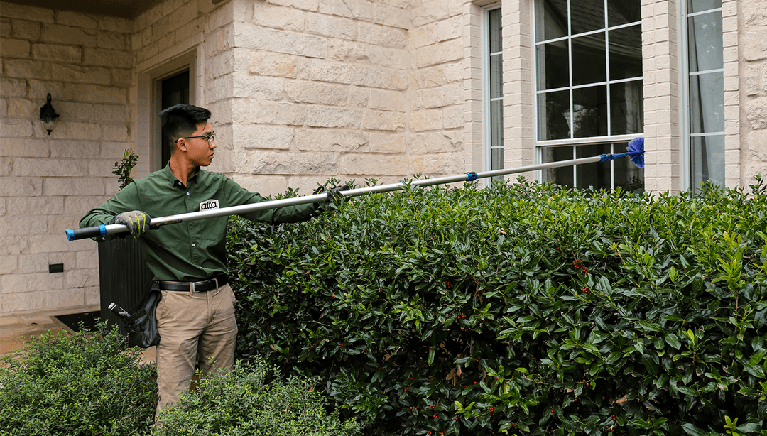 Our Locations Alta Pest Control